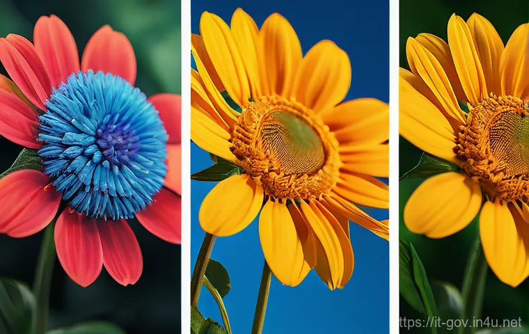 공무원 시험 지역 선택 가이드 - Here are three detailed image prompts: